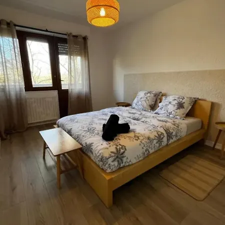 Cosy Rent Wifi Terrasse Appartamento