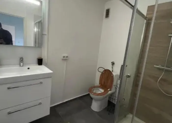 Apartment Cosy Rent Wifi Terrasse Strasbourg